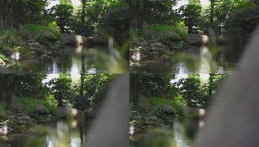 小水塘 绿树环绕 高清在线视频素材下载