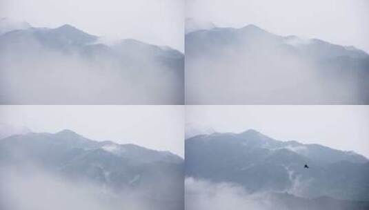 高山隐逸云雾间，禅心悠然情自远高清在线视频素材下载