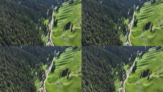 新疆恰西唯美森林航拍6高清在线视频素材下载