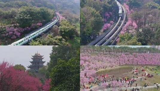 春天的列车重庆春天游客踏青高清在线视频素材下载