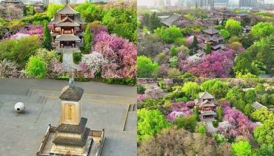 航拍陕西西安青龙寺樱花盛开海空纪念碑高清在线视频素材下载
