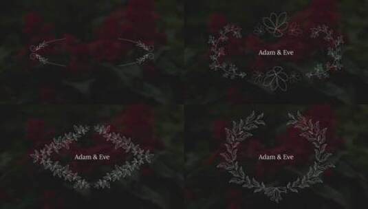 婚礼唯美浪漫标题字幕条AE模板高清AE视频素材下载