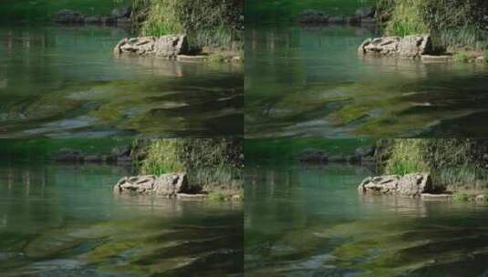 86  杭州 风景 小溪 流水 唯美高清在线视频素材下载