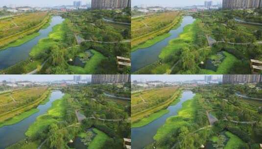 广西南宁那考河湿地公园高清在线视频素材下载