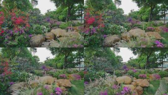 春暖花开的花园高清在线视频素材下载