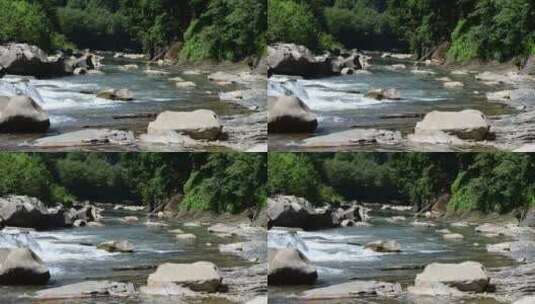 流经森林小溪的河流高清在线视频素材下载
