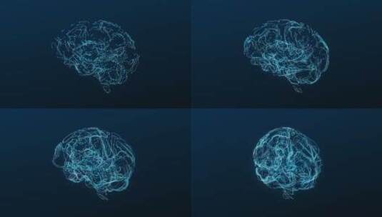 医学 大脑 脑科学 三维 脑ct1 模型高清在线视频素材下载