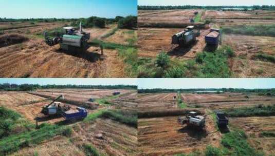 农业丰收机械化农业收割麦子合集高清在线视频素材下载