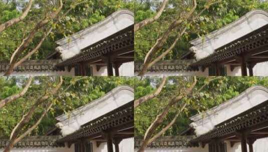 古代建筑景观江南园林风格仿古房子院落高清在线视频素材下载