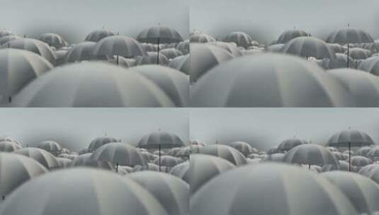 抽象的伞高清在线视频素材下载