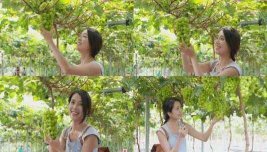 美女采摘水果葡萄苹果高清在线视频素材下载
