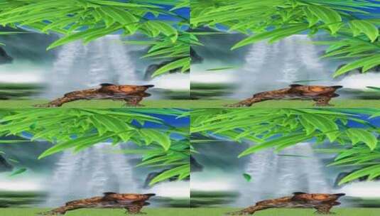 瀑布豹子 绿色树叶 天幕素材高清在线视频素材下载