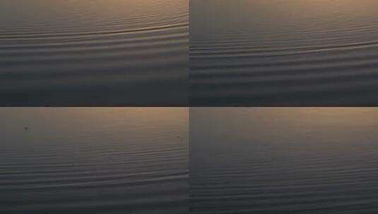 平静水面的波浪涟漪高清在线视频素材下载