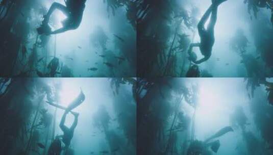 潜水员在水底拍摄高清在线视频素材下载