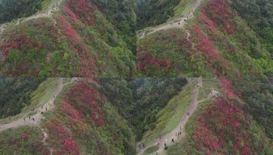 湖南衡阳常宁天堂山航拍高清在线视频素材下载