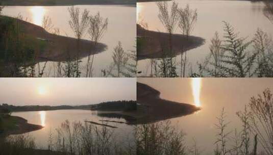 夕阳湖边芦苇空镜4k合集高清在线视频素材下载
