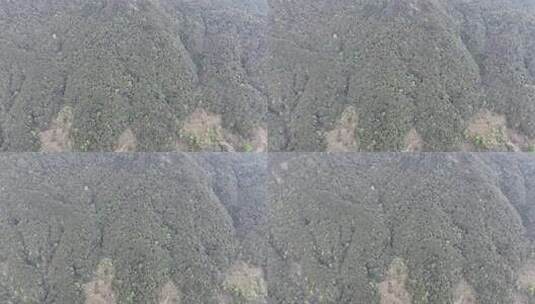 山脉山峰航拍森林树林俯拍高清在线视频素材下载