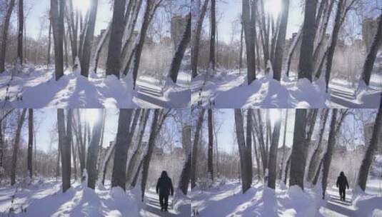 阿勒泰桦林公园雪景高清在线视频素材下载