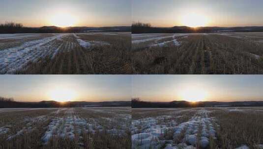 早春冰消雪融的垦区农田高清在线视频素材下载
