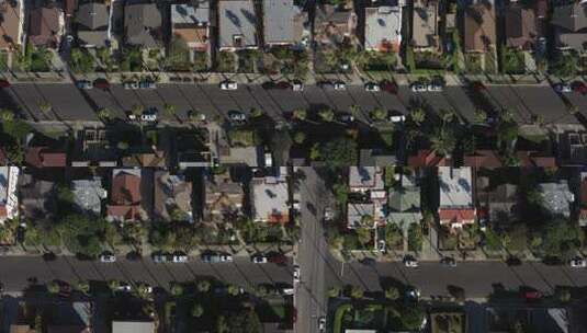 棕榈树林立的街道高清在线视频素材下载