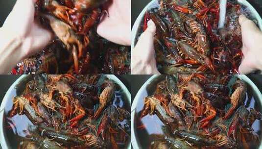 洗龙虾 小龙虾高清在线视频素材下载