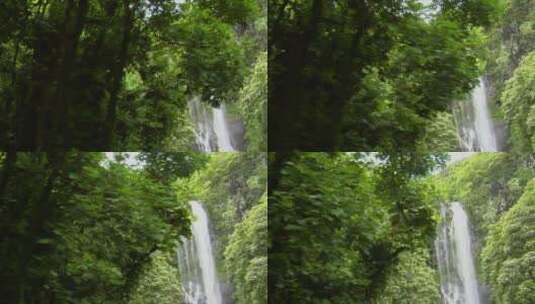 丛林中的热带瀑布高清在线视频素材下载