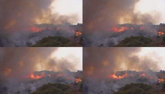 森林蔓延的火灾高清在线视频素材下载