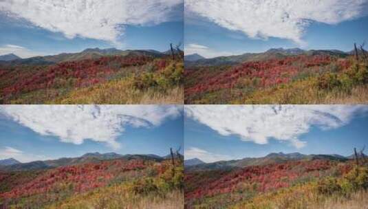 秋天多彩景观的时间流逝高清在线视频素材下载