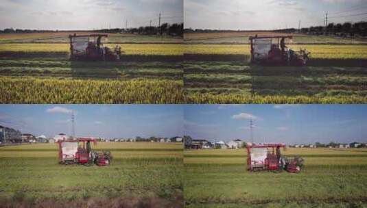 无人机低空侧拍收割水稻的机械高清在线视频素材下载