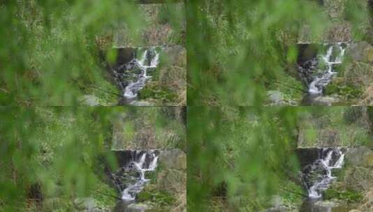 大自然 山野 小溪 苔藓 高清在线视频素材下载