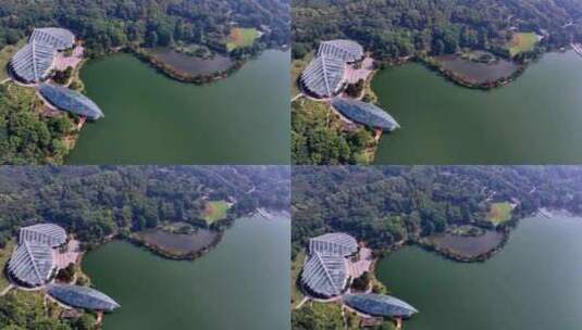南京植物园玄武湖航拍高清在线视频素材下载