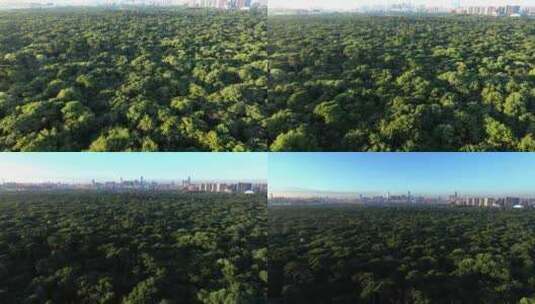 4K高清沈阳宣传片城市风光北陵绿化城市高清在线视频素材下载