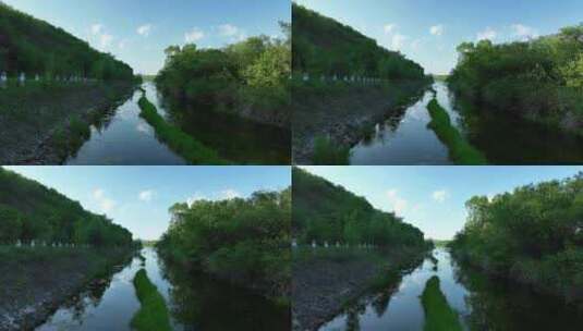 大兴安岭林区河流湿地夏日风景高清在线视频素材下载
