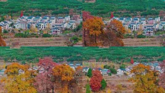 秋天的乡村美景高清在线视频素材下载