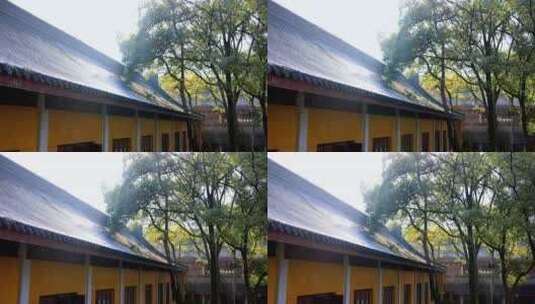 杭州灵隐寺清晨的阳光高清在线视频素材下载
