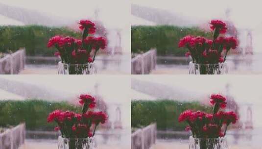 下雨天窗户边鲜花唯美空境高清在线视频素材下载