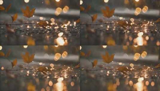 秋天的雨落在枯树叶上高清在线视频素材下载