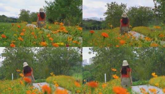 深圳坪山河湿地公园赏花的游客高清在线视频素材下载