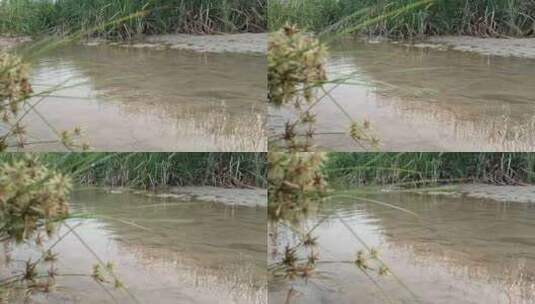 浅水流过草地的景色高清在线视频素材下载