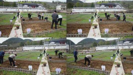 劳动空镜刨土锄地农场工人耕作劳作翻土高清在线视频素材下载