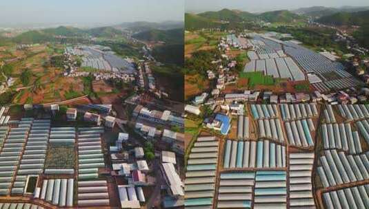 温室大棚蔬菜水果种植园高清在线视频素材下载