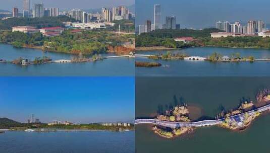 广州增城荔湖公园城市湖泊与现代建筑景观高清在线视频素材下载