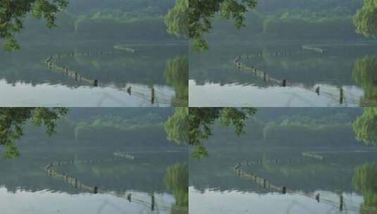 湖面水波荡漾高清在线视频素材下载
