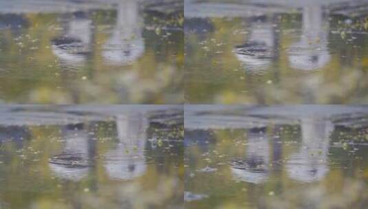 雨天水滴落叶脚步积水倒影伤感素材高清在线视频素材下载