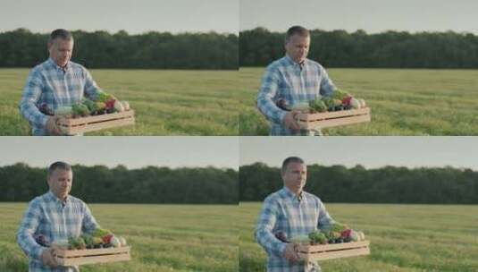 一个农民抱着一箱新鲜蔬菜走在田地里高清在线视频素材下载
