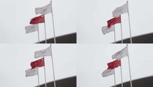 2022杭州亚运会旗帜实拍高清在线视频素材下载
