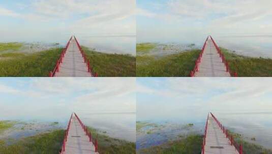 青海湖 湿地 航拍 湖水 湖泊 美丽的 美景高清在线视频素材下载