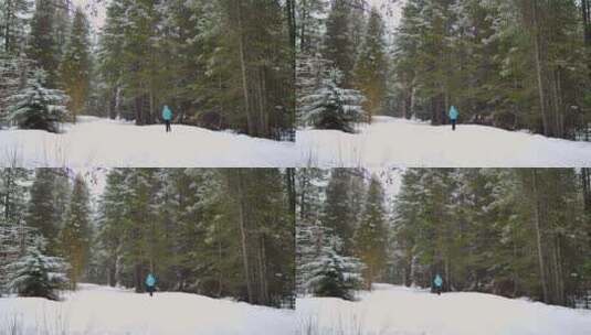 在白雪覆盖的松林中行走的人高清在线视频素材下载
