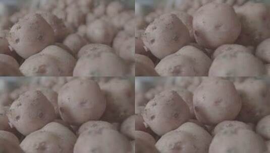 春天种植红土豆LOG视频素材高清在线视频素材下载