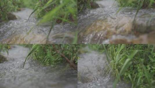 乡村小溪溪流河流牛吃草自然生态环境溪边高清在线视频素材下载